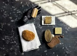 Olympus Soap Dish -Home Decoration Sales Shop Jayson studio 5 23 1805 e8609a64 fe02 4645 9e7a 303330b01414