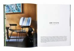 Where They Purr: Inspirational Interiors And The Cats Who Call Them Home -Home Decoration Sales Shop Pro CaptureOne0667