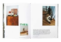 Where They Purr: Inspirational Interiors And The Cats Who Call Them Home -Home Decoration Sales Shop Pro CaptureOne0668
