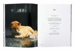 Where They Purr: Inspirational Interiors And The Cats Who Call Them Home -Home Decoration Sales Shop Pro CaptureOne0669