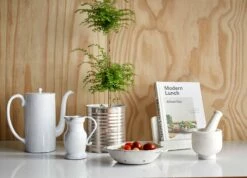 Astier De Villatte Conserve Vases -Home Decoration Sales Shop conserve vase fall21catalog