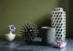 Diptyque Baies Ceramic Candle -Home Decoration Sales Shop diptyque baies ceramic candle fall2019