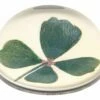 Clover Paperweight -Home Decoration Sales Shop hg141591 alt2