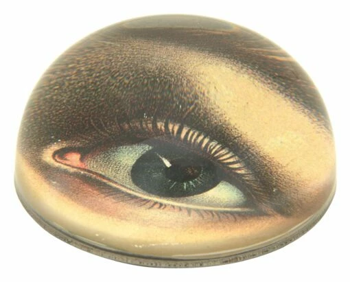 Left Eye Paperweight -Home Decoration Sales Shop hg141592 alt2