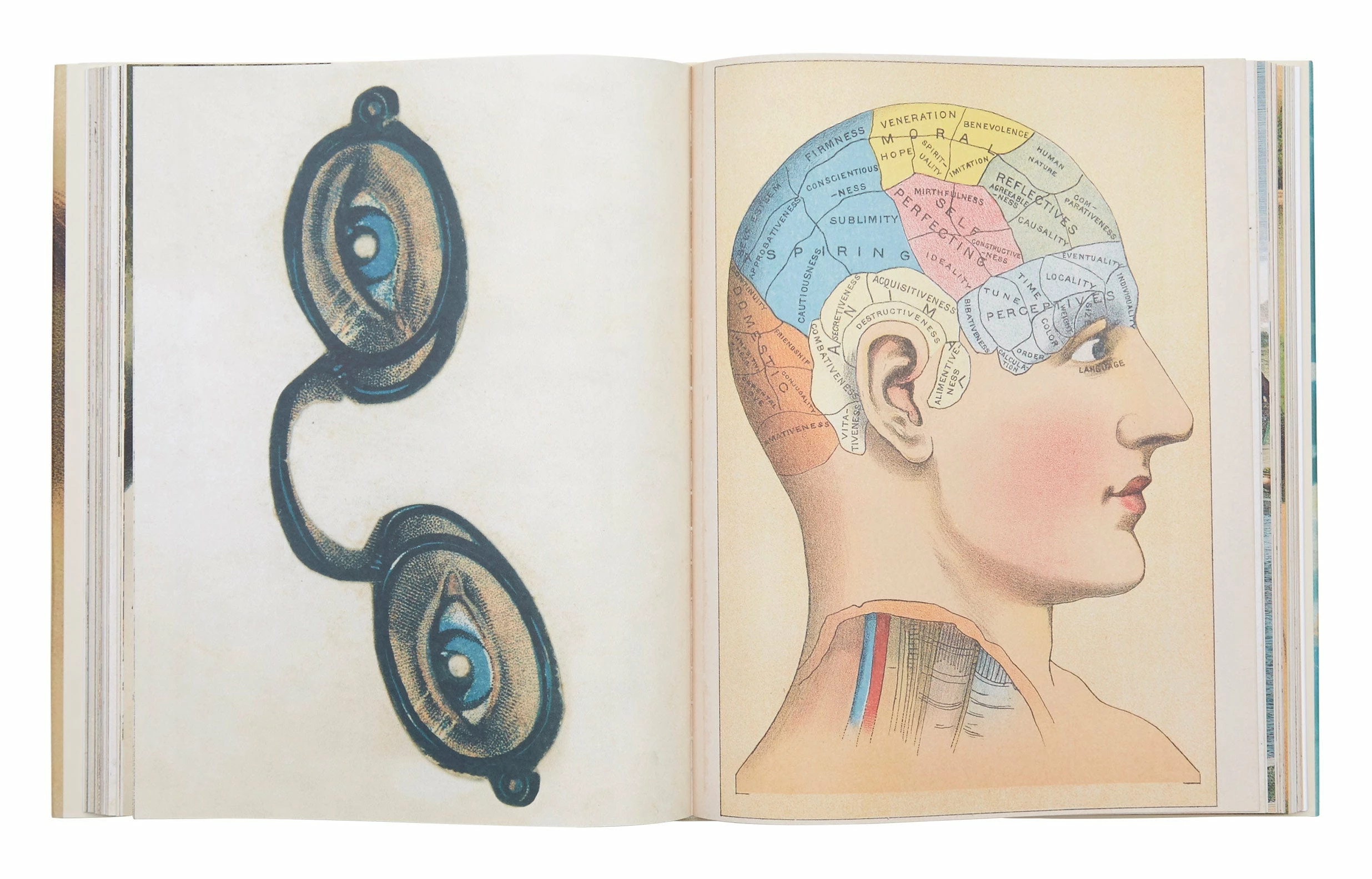 John Derian Picture Book 5 John Derian Picture Book - Image 3