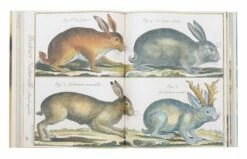 John Derian Picture Book 14 John Derian Picture Book -Home Decoration Sales Shop hg150934 alt3