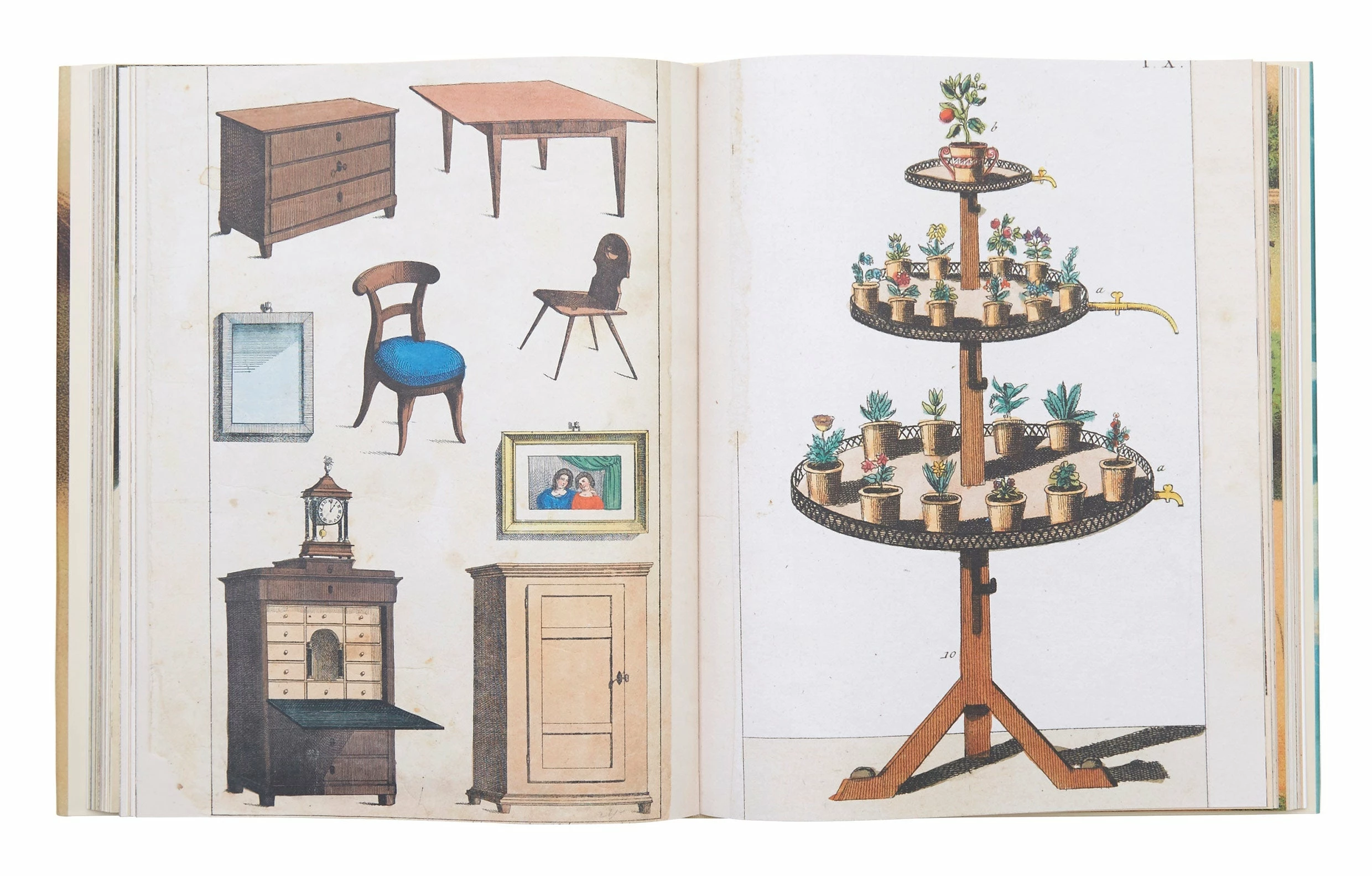 John Derian Picture Book 7 John Derian Picture Book - Image 5