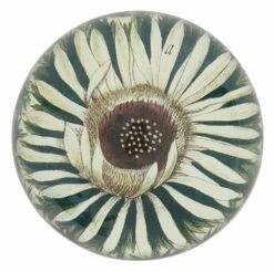 Carlina Acaulis Paperweight 7 Carlina Acaulis Paperweight -Home Decoration Sales Shop hg153813 alt2