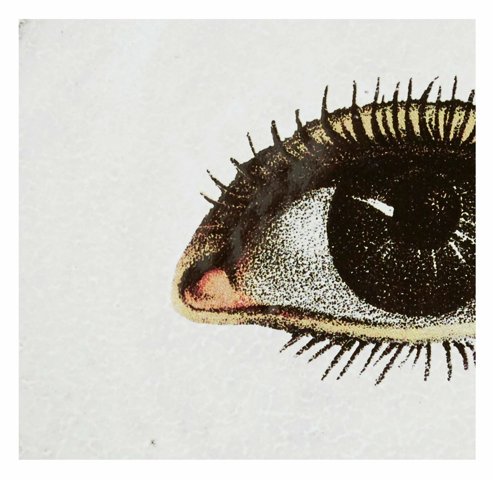 Astier De Villatte Left Eye Saucer 7 Astier De Villatte Left Eye Saucer - Image 5