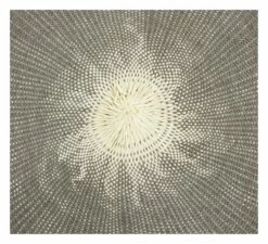 Oeil Placemats -Home Decoration Sales Shop hg155569 alt1 1