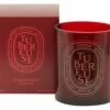 Diptyque Large Candles 2 Diptyque Large Candles -Home Decoration Sales Shop hg155991 1