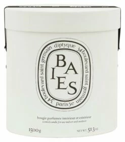 Diptyque Baies Ceramic Candle -Home Decoration Sales Shop hg155994 alt3