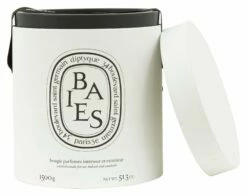 Diptyque Baies Ceramic Candle -Home Decoration Sales Shop hg155994 alt4