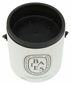 Diptyque Baies Ceramic Candle -Home Decoration Sales Shop hg155994 alt5