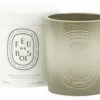 Diptyque Feu De Bois Ceramic Candle -Home Decoration Sales Shop hg155996 1