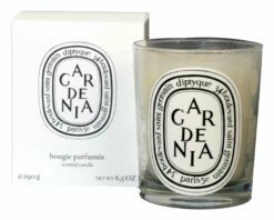 Diptyque Candles -Home Decoration Sales Shop hg444700 1258e8a1 1483 423d 994e dcd8987a2859