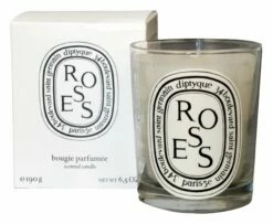 Diptyque Candles -Home Decoration Sales Shop hg444712 8a186123 ba38 4bd9 9ea7 95a945031b44