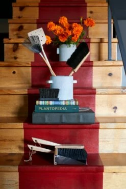 Plantopedia 10 Plantopedia -Home Decoration Sales Shop plantopedia fall 21 catalog